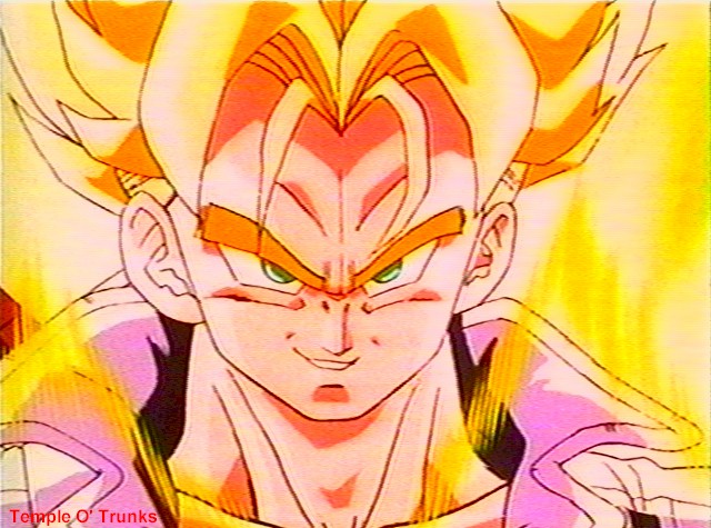 supersaiyajinfamily.jpg